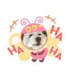 日常簡単会話（個別スタンプ：14）