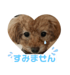 日常簡単会話（個別スタンプ：15）