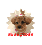 日常簡単会話（個別スタンプ：16）