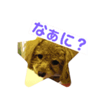 日常簡単会話（個別スタンプ：17）