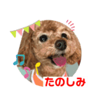 日常簡単会話（個別スタンプ：21）