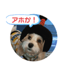日常簡単会話（個別スタンプ：22）