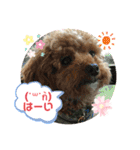 日常簡単会話（個別スタンプ：23）
