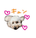 kawaba（個別スタンプ：13）