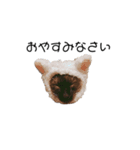 俺サスケ（個別スタンプ：1）