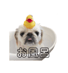 とろろさんパート1（個別スタンプ：18）