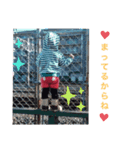 tommy's315②（個別スタンプ：5）