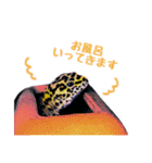 ヒョウモントカゲモドキのたまちゃん（個別スタンプ：14）