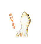 ヒョウモントカゲモドキのたまちゃん（個別スタンプ：21）