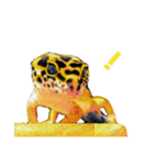 ヒョウモントカゲモドキのたまちゃん（個別スタンプ：22）