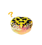 ヒョウモントカゲモドキのたまちゃん（個別スタンプ：23）