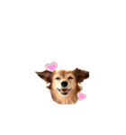 プチwan♡いっぱぃ（個別スタンプ：2）