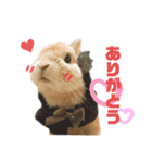 うさぎのあらん（個別スタンプ：3）