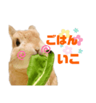 うさぎのあらん（個別スタンプ：7）