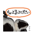 Dep 里親様スタンプ猫ver②（個別スタンプ：8）