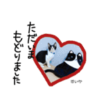 Dep 里親様スタンプ猫ver②（個別スタンプ：18）