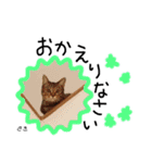 Dep 里親様スタンプ猫ver②（個別スタンプ：19）