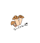 まろまゆくん（個別スタンプ：1）