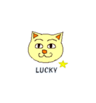 ABC気持ちねこさん English Only（個別スタンプ：12）