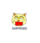 ABC気持ちねこさん English Only（個別スタンプ：31）