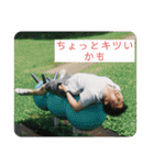 わくわくおっくんスタンプ（個別スタンプ：12）