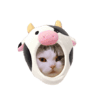 小林まる（個別スタンプ：1）
