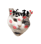 小林まる（個別スタンプ：4）