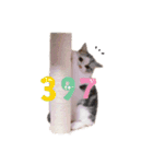 小林まる（個別スタンプ：5）