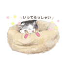 小林まる（個別スタンプ：13）