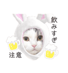 小林まる（個別スタンプ：14）