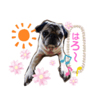 あぐくんの日常2（個別スタンプ：1）