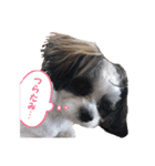 じゅにあせいじほうせいだよ（個別スタンプ：13）