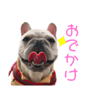 じゅにあせいじほうせいだよ（個別スタンプ：23）