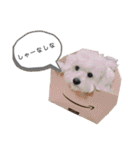 じゅにあせいじほうせいだよ（個別スタンプ：32）