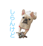 じゅにあせいじほうせいだよ（個別スタンプ：36）