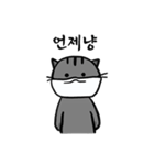 マスクをした猫さん（個別スタンプ：15）