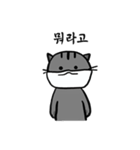 マスクをした猫さん（個別スタンプ：21）