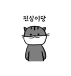 マスクをした猫さん（個別スタンプ：26）