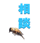 漢字二文字(仕事用)をアトリからBIG（個別スタンプ：5）