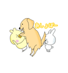 きんちゃくトリ4（個別スタンプ：1）