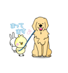 きんちゃくトリ4（個別スタンプ：2）
