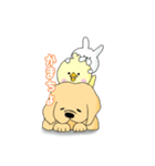 きんちゃくトリ4（個別スタンプ：3）