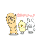きんちゃくトリ4（個別スタンプ：6）