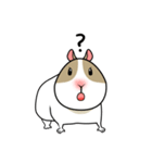 もるもるモルモット（個別スタンプ：3）