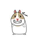 もるもるモルモット（個別スタンプ：5）