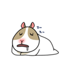 もるもるモルモット（個別スタンプ：6）