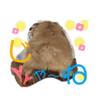 マルプーのベル    日常のあいさつ2（個別スタンプ：32）