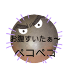 No.2べーやんの坊主頭で会話した。（個別スタンプ：23）