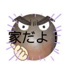 No.2べーやんの坊主頭で会話した。（個別スタンプ：24）