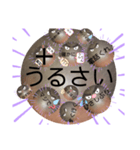 No.2べーやんの坊主頭で会話した。（個別スタンプ：33）